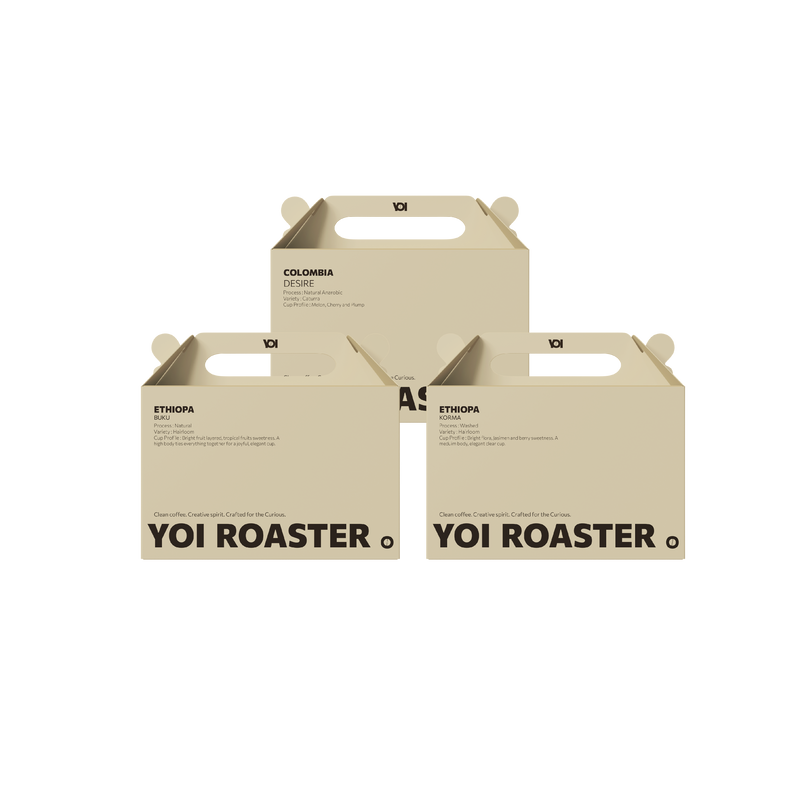 FOUNDATION DAY BUNDLE