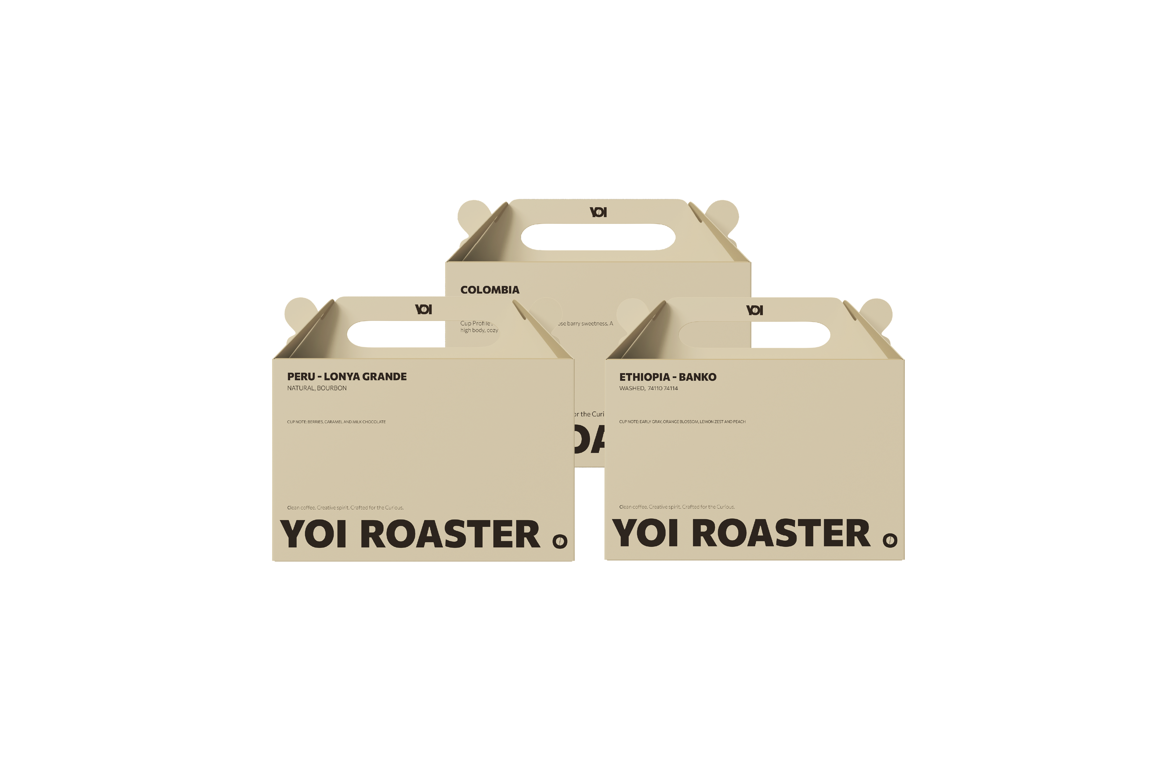 DAILY COFFEE BUNDLE